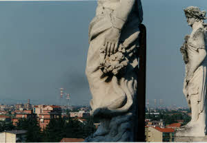 imm_MI170_0003649