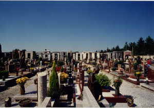 imm_MI170_0003657
