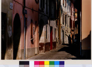 imm_MI170_0003720