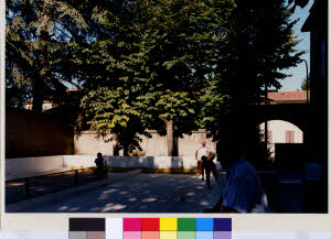 imm_MI170_0003735