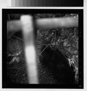 imm_MI170_0003760