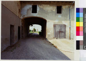 imm_MI170_0003837