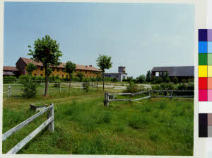 imm_MI170_0003856