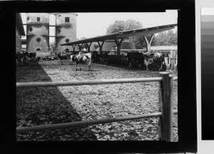 imm_MI170_0004184