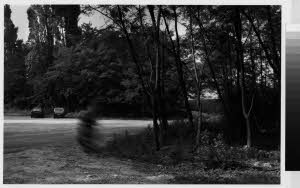 imm_MI170_0004265
