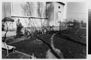 imm_MI170_0004325