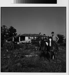 imm_MI170_0004404