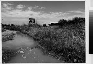 imm_MI170_0004593