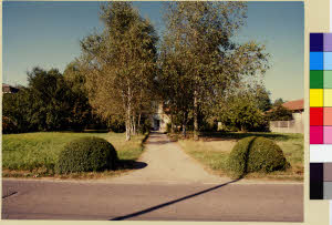 imm_MI170_0004604