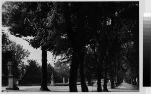 imm_MI170_0004957
