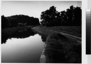 imm_MI170_0005051