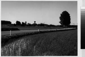 imm_MI170_0005056