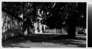 imm_MI170_0005256