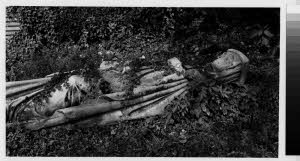 imm_MI170_0005259