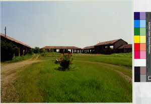 imm_MI170_0005302