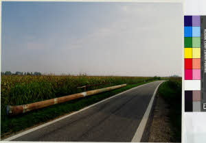 imm_MI170_0005303