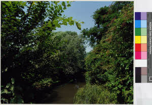 imm_MI170_0005310