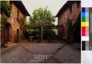 imm_MI170_0005311