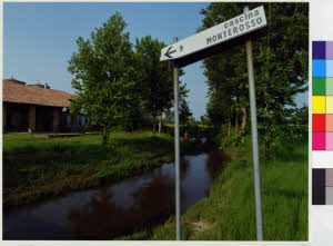 imm_MI170_0005320