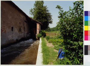 imm_MI170_0005325