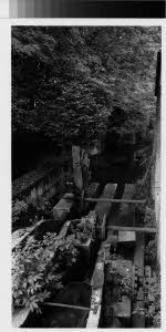imm_MI170_0005401