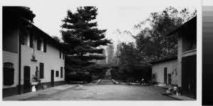 imm_MI170_0005420