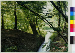 imm_MI170_0005583