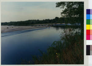 imm_MI170_0005584
