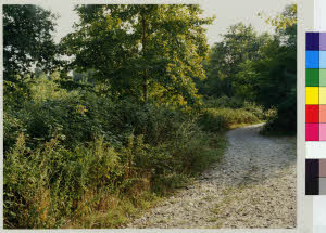 imm_MI170_0005585
