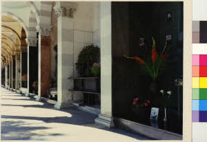 imm_MI170_0005589
