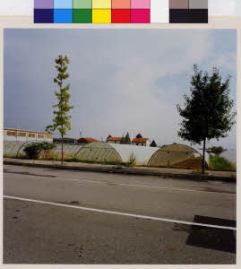 imm_MI170_0005695
