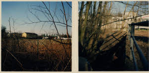 imm_MI170_0006649