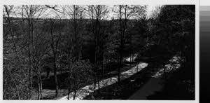 imm_MI170_0006771