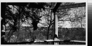 imm_MI170_0006772