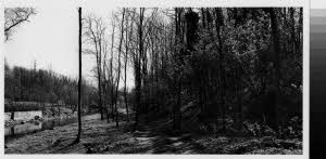 imm_MI170_0006774