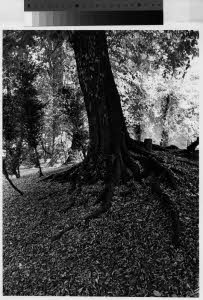 imm_MI170_0006926
