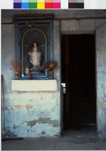 imm_MI170_0006933