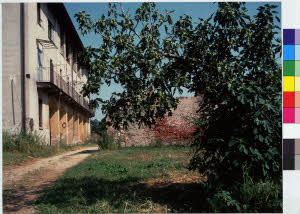 imm_MI170_0006934