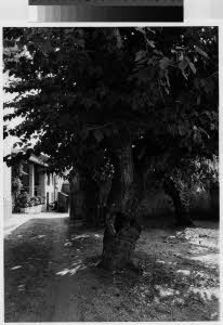 imm_MI170_0006939