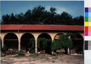 imm_MI170_0006954