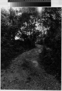 imm_MI170_0006955