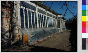 imm_MI170_0007010