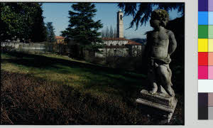 imm_MI170_0007017