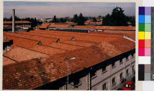 imm_MI170_0007260