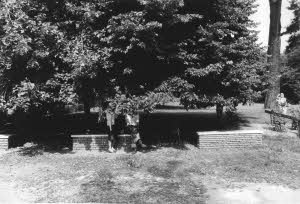 imm_10040_0000003