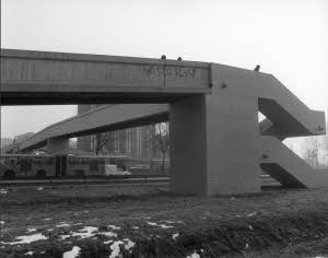 imm_10040_0000072