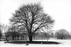imm_10040_0000200