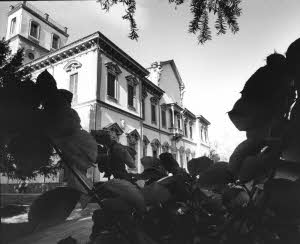 imm_10040_0000218
