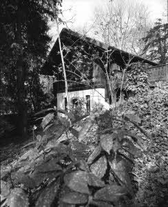 imm_10040_0000226