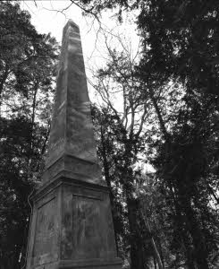imm_10040_0000227